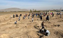 Elbistan Deprem Mezarlığında Fidanlar Toprakla Buluşturuldu