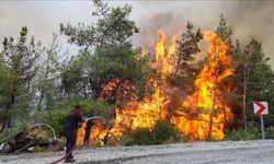 Bu yıl orman yangınlarının yüzde 80'i ihmal, dikkatsizlik ve kaza sonucu çıktı