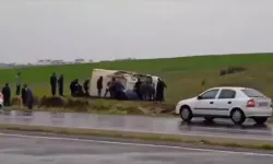 Kamyonet yol kenarına savruldu: 7 yaralı