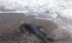 Aynı ilçenin farklı sahillerinde 2 ceset bulundu