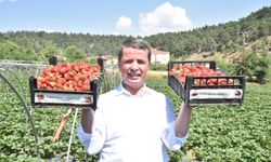 Başkan Okumuş, Türkoğlu'nun lezzetlerini paylaştı