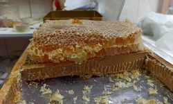 Havaların soğumasıyla doğal bala rağbet arttı