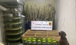 Jandarma operasyonunda 120 kg uyuşturucu ele geçirildi
