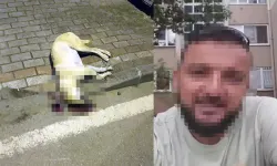 Oğlunu ısırdığını iddia ettiği köpeği öldürmüştü; mahkeme ceza vermedi