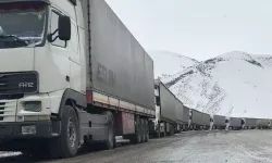 Türkiye- İran sınırında TIR kuyruğu 15 kilometreye ulaştı