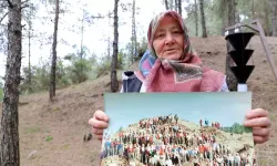 Kahramanmaraş'ta çorak araziden ormana 45 yıllık fotoğraf karesinde
