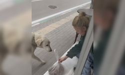 Esnaf ile köpeğin gülümseten kareleri