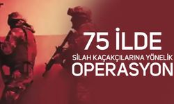 75 ilde silah kaçakçılarına yönelik operasyon