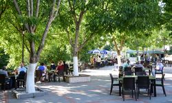 Kahramanmaraş'ın cevizli parkı, yeni sezon için gün sayıyor