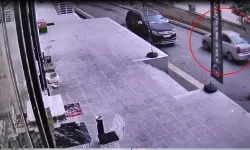 Sokak kedisini ezip kaçan sürücüye 7 bin 216 lira ceza