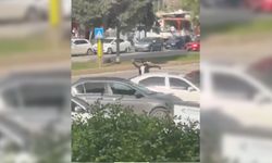 Piazza AVM'deki Starbucks'a silahlı saldırı