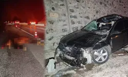 Yola çıkan ata otomobil çarptı: 1 ölü, 5 yaralı