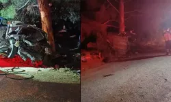 Otomobil, ağaca çarptı; sürücü ile arkadaşı öldü