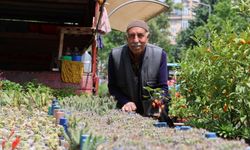 Kahramanmaraş'ta 60 yıldır bitki yetiştirip satıyor