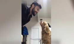 Köpeğine şarkı söyleyen adam sosyal medyada viral oldu!