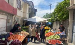 Kahramanmaraş'ta Yaz Meyveleri Tezgahlara Çıktı