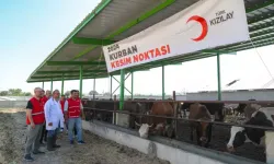 Türk Kızılay yurt içinde ve 19 ülkede kurban kesimlerine başladı