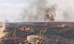 Kahramanmaraş'ta buğday tarlasında yangın