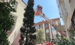 Kahramanmaraş'ta ağaçta mahsur kalan kedi kurtarıldı