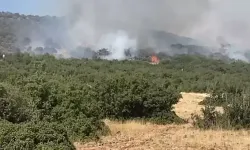 Kahramanmaraş’taki yangınlardan biri kontrol altında, diğeri sürüyor