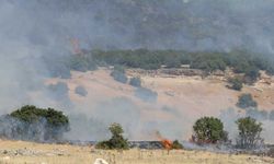 Kahramanmaraş'ta 95 hektarlık alan yangından zarar gördü