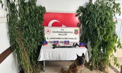 Kahramanmaraş'ta jandarma timlerinden dev operasyon