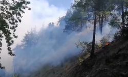 Kahramanmaraş’ta yangın giderek büyüyor, evler boşaltılıyor