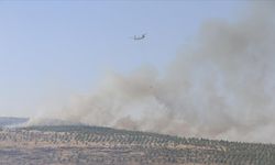 Türkoğlu'nda çıkan orman yangını kontrol altına alındı