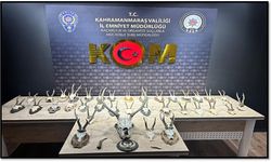 Kahramanmaraş emniyetinden Karaca Ve Geyik Trofesi Kaçakçılığı operasyonu