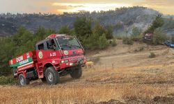 Kahramanmaraş'ta çıkan orman yangını kontrol altına alındı