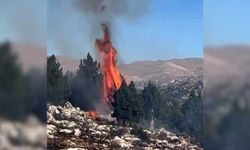 Kahramanmaraş'ta orman yangını söndürüldü