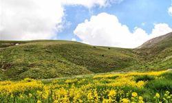 Kahramanmaraş’ta zirvedeki huzur; Binboğa Dağları