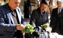 Kahramanmaraş’ın dağlarından şeker hastalarına doğal çözüm