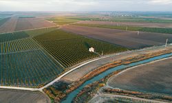Tarıma dayalı yatırımlarda, hibeye esas proje tutarı üst limitleri yükseltildi