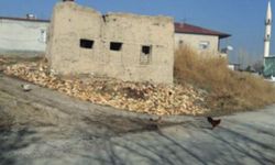 Elbistan’daki Geçit Höyük Hititlerden kalma izler taşıyor