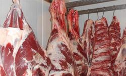 GIDA ÜRÜNLERİ SATIN ALINACAKTIR