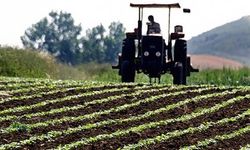 Çiftçilere yaklaşık 6,7 milyar lira destek ödemesi bugün yapılacak