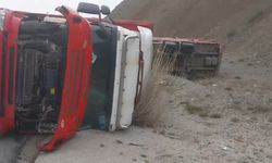 Beyaz eşya yüklü tır devrildi