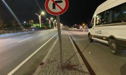 Motosiklet trafik levhasına çarptı: 2 ölü