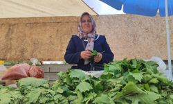Kahramanmaraş'ta 5 Çocuk Annesi Yaprakla Geçim Sağlıyor