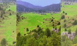 Kahramanmaraş’taki o yayla İsviçre’yi aratmıyor