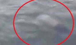 Sulama kanalından kurtarıldı, hastanede hayatını kaybetti