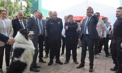 Kahramanmaraş’ta “Gölge”ye yoğun ilgi