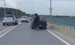 Ata eziyet eden sürücü ile arkadaşı tutuklandı