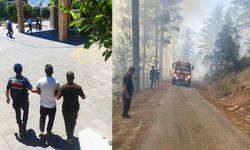 Kahramanmaraş'ta ormanı yakana 10 yıla kadar hapis istemi