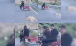 Kahramanmaraş'ta köpeği sürükleyen şahsa 50 bin TL ceza