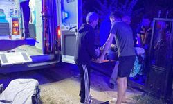 Aile içi kavgada ablasını ve eniştesini vurdu
