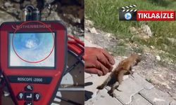 Kahramanmaraş'ta su giderine sıkışan kedi kurtarıldı