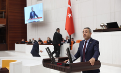 Karatutlu: "Kahramanmaraş’ta sanayi kılıfıyla talan!"