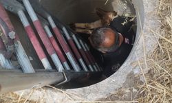 Kahramanmaraş’ta kuyuya düşen kuzu kurtarıldı